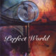 PERFECT WORLD - Perfect World