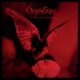 CROSSFADE - We All Bleed