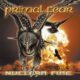 PRIMAL FEAR - Nuclear Fire (Remastered)