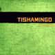 TISHAMINGO - The Point