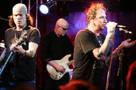 greatwhite