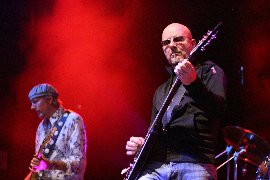 wishboneash