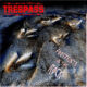 TRESPASS - Footprints In The Rock