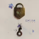 DGM - Life album cover